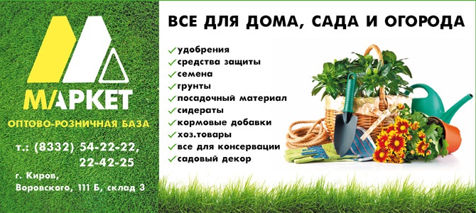 База Маркет