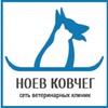 Ноев Ковчег, ветеринарный центр